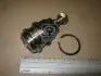 Опора шаровая MITSUBISHI GALANT DJ1A 04-08 (Япония) 555 SB7982 (фото 2)