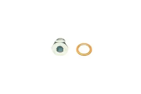 Болт слива масла + шайба Citroen Berlingo/Jumper/Jumpy/Peugeot Boxer/Expert/Partner 96- (M14x1.25) AIC 52880