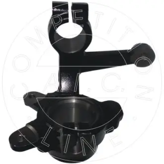 Цапфа (передня) Skoda Favorit/Felicia 89-01 (R) AIC 55838