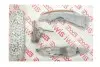 Комплект цепи ГРМ BMW 3 (E90/E91/E92/E93/F30/F80/F31) (N57 D30) 05- (72 звеньев) (симплекс) (с покрытием TRITAN®) AIC 59833Set (фото 1)