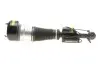 Амортизатор (передний) (R) MB S-class (W221) 05-13 (Airmatic DC) AIC 71216 (фото 5)