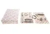 Комплект ланцюга ГРМ BMW 3 (F34)/X1 (F48)/X4 (F98) 2.0D 12- B47 AIC 73932Set (фото 1)