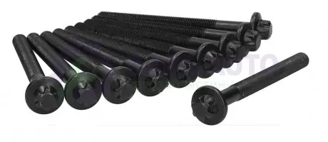 Болты головки блоку Master/Trafic 2.5dCi 00- (к-кт) AJUSA 81031600