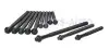 Болты головки блоку BMW 1/3/5/X1/X3 1.6-2.0 i 00-15 AJUSA 81044900 (фото 1)