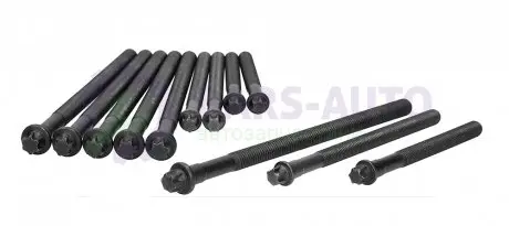 Болты головки блоку BMW 1/3/5/X1/X3 1.6-2.0 i 00-15 AJUSA 81044900