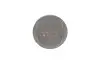 Поршень Daewoo Lanos/Nubira 1.6 97- (79.00mm/STD) (к-кт 4 шт) AMP PX-DAE-4A-3538-000 (фото 2)