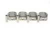 Поршень Dacia Duster/Logan/Sandero/Renault Clio/Kangoo 1.6 16V 98- (80.50mm/+1.00mm) (к-кт 4 шт) AMP PX-REN-4A-3841-100-C (фото 1)