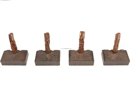 Щітка стартера AS BSX194-195 (фото 1)