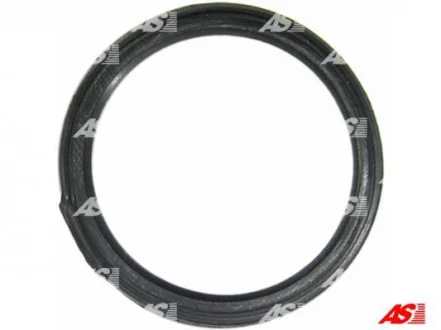 Сальник гумометалевий AS SDK3004