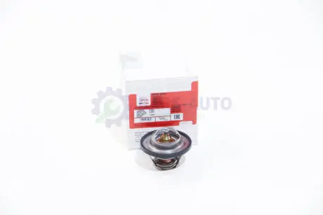 Термостат Duster/Logan/Clio/Kangoo/Megane I, II, III 1,4/1.6/2.0i 98- (89 C) ASAM 30403