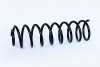 Пружина задня VW Polo III (94-06)/Seat Ibiza II (93-02) ASAM 73768 (фото 1)