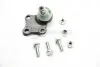 Опора кульова (передня/знизу) Citroen Berlingo/Peugeot Partner 96- (d=16mm) ASMETAL 10CT0100 (фото 2)