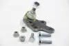 Опора кульова (передня/знизу) Ford Focus II 1.4-2.0TDCi 04-12/C-Max 07-10/Volvo C30/C70/S40 04- ASMETAL 10FR1706 (фото 2)
