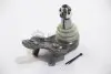 Опора кульова (передня/знизу/R) Lexus RX 03-08/Toyota Camry 01-11 ASMETAL 10TY1011 (фото 2)