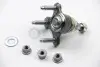 Опора кульова (передня/знизу/L) Audi A3 06-/VW Golf IV 05- ASMETAL 10VW1606 (фото 2)