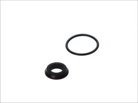 Ремкомпл. головного сцепление Scudo/Expert/BMW 19.05mm 97> (FAG) AUTOFREN D1714