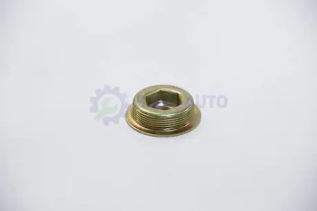 Заглушка блоку цилиндров MB Sprinter (M35x1.5) AUTOTECHTEILE 100 9902
