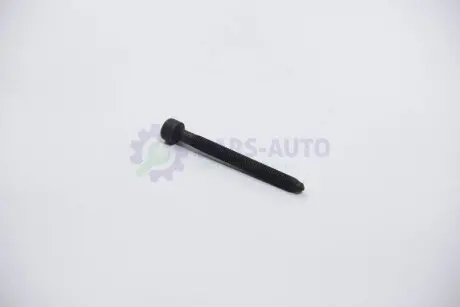 Болт кріплення форсунки AUTOTECHTEILE 310 3016