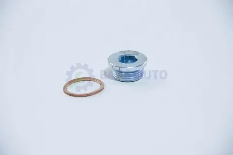 Болт масляного поддона Fiat Ducato 94- (M22x1,5) AUTOTECHTEILE 512 1002