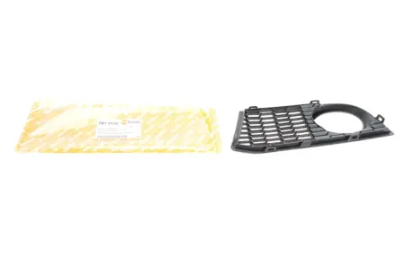 Вставка бампера (под противотуманку) BMW 5 (F10/F11) 09-13 (M-Technic) (R) AUTOTECHTEILE 703 5132