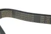 Ремінь генератора MB Truck Atego (8PK1480) (9935) AUTOTECHTEILE 908 1480 (фото 3)
