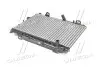 Радиатор охлаждения двигателя AVA AVA COOLING FD2440 (фото 3)