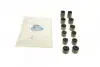 Комплект сайлентблоків задньої підвіски Ford Focus/Mazda 3/Volvo (S40) 99-10 (12шт) BELGUM PARTS BGKIT-1 (фото 1)