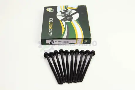 Болты головки блоку VW Caddy II/Golf IV/V 1.4/1.6i 96- (10шт.) BGA BK4301