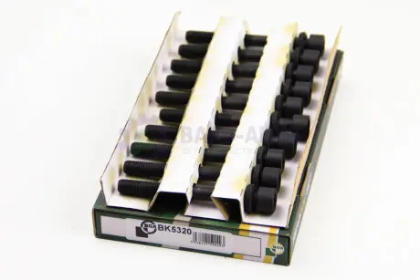 Болты головки блоку Astra F/G/H/Omega B/Vectra A/B/Nubira 1.8/2.0i 94- (к-кт) BGA BK5320