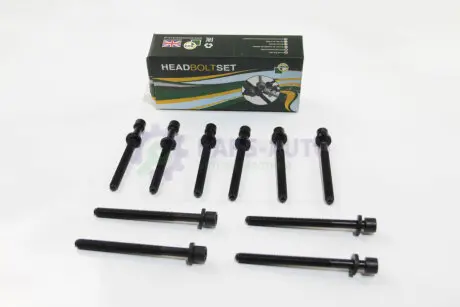 Болты головки блоку Caddy 04-/Golf 97-13/Passat 1.6/2.0i 97-11 BGA BK5346