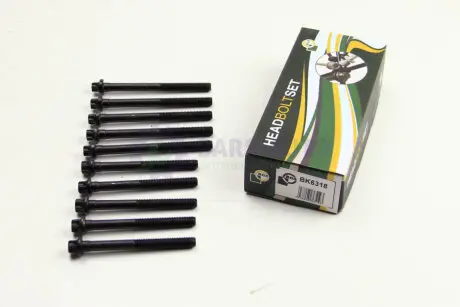 Болты головки блоку Kangoo/Logan/Clio/Megane/Sandero 1.4/1.6 96- BGA BK6318