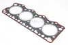 Прокладка головки Ducato/Boxer/Jumper/Master/Movano 2.8TD/HDI/JTD 98- (1.2mm) BGA CH4591 (фото 1)