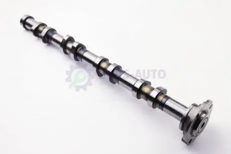 Распределительный вал Jumper/Boxer 2.2HDI 06- (випуск) BGA CS2309