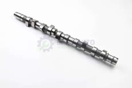 Распределительный вал LT 2.5TDI (AGX/AHD/ANJ/APA)/T4 2.5TDI (AUF/AXG/ACV) BGA CS3381