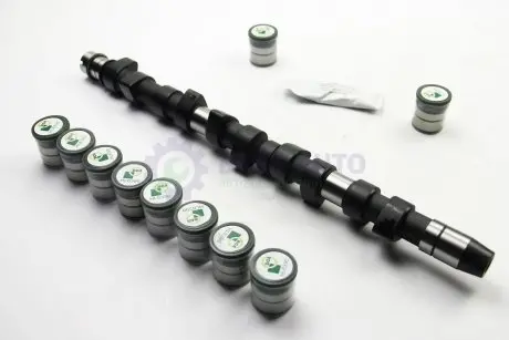 Распределительный вал LT 2.5TDI (AGX/AHD/ANJ/APA)/T4 2.5TDI (AUF/AXG/ACV) к-кт BGA CS3381K