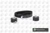 Комплект ГРМ Berlingo/Jumper/Boxer/Expert 2.0 HDi (DW10) 99- BGA TB6701K (фото 1)