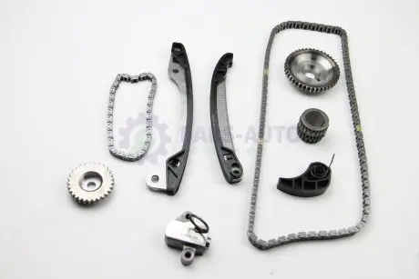 Цепь приводу ГРМ (к-кт) Megane III/Scenic III/Logan 1.6TCe (з шестернями) BGA TC7300FK