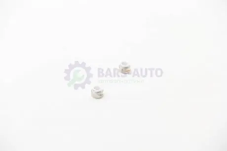 Сальник клапана 8mm Berlingo/Ducato/Scudo 1.8/2.0/1.9TD (к-кт) BGA VK5341