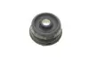 Подушка амортизатора (переднего) MB Sprinter/VW LT 96-06 (к-кт) (B1) BILSTEIN 12-224104 (фото 9)