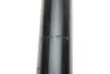 Амортизатор (передний) BMW X5 (E70)/X6 (E71/E72) 07-14 M57/N52/N55/N57/N63 (B4) BILSTEIN 19-261515 (фото 4)