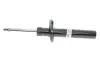 Амортизатор (передній) VW CC 09-17 Passat (3C2) 06-10 Passat (357/365) 12-19 d=55mm (B4) BILSTEIN 22-151056 (фото 1)
