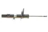 Амортизатор (передний) Citroen C3 II 1.1-1.6D 09-(L) BILSTEIN 22-193421 (фото 1)