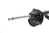 Амортизатор (передний) Ford Focus III 10-(R) BILSTEIN 22-217141 (фото 5)