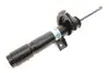 Амортизатор (передний) (L) BMW 3 (F30/F80/F34/F31)/4 (F36/F33/F83/F32/F82) xDrive 12- (B4) BILSTEIN 22-238269 (фото 1)