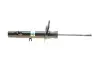 Амортизатор передний (L) Peugeot 2008 13-(B4) BILSTEIN 22-243102 (фото 11)