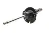 Амортизатор (передний) Ford Focus III 1.0-2.0 12-(L) (B4) BILSTEIN 22-255969 (фото 9)