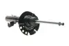Амортизатор (передний) Ford Focus 10-(L) (B4) BILSTEIN 22-256362 (фото 1)