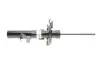 Амортизатор (передний) Ford Focus 10-(R) (B4) BILSTEIN 22-256379 (фото 11)