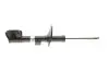 Амортизатор (передний) Dacia Duster 1.0-1.6 LPG 17- BILSTEIN 22-306753 (фото 1)