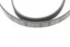 Ремень генератора Renault Clio/Kangoo 1.4i/1.6 98-03 / Toyota Land Cruiser 4.2 98-07 (4PK1237) BLUE PRINT AD04R1237 (фото 3)